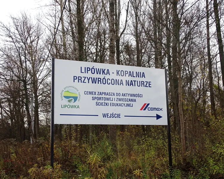 Rudniki, gm. Rędziny