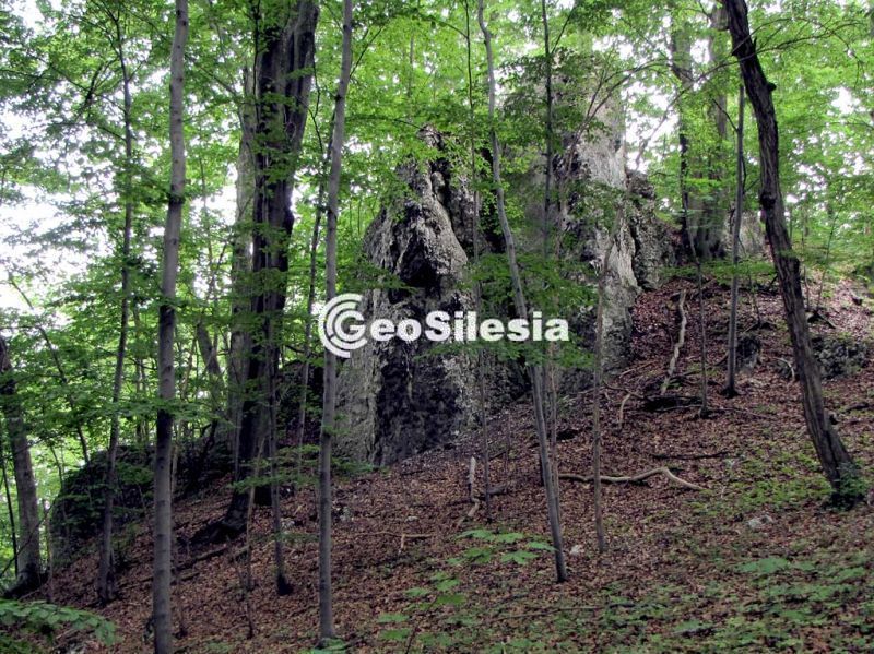 Rezerwat Góra Chełm