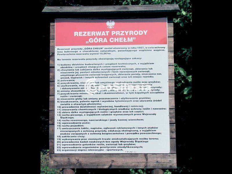 Rezerwat Góra Chełm
