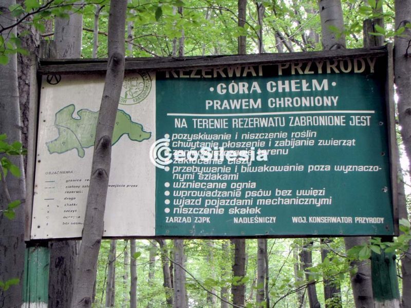 Rezerwat Góra Chełm