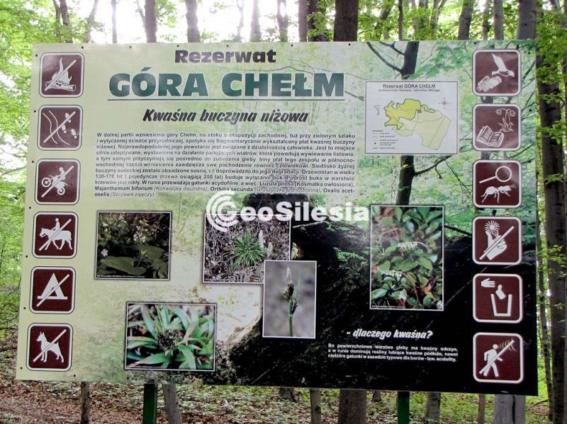 Rezerwat Góra Chełm