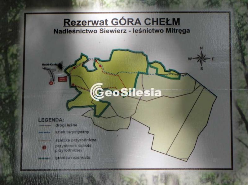 Rezerwat Góra Chełm
