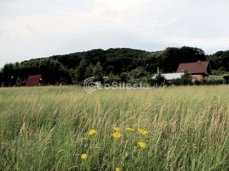 Góra Chełm