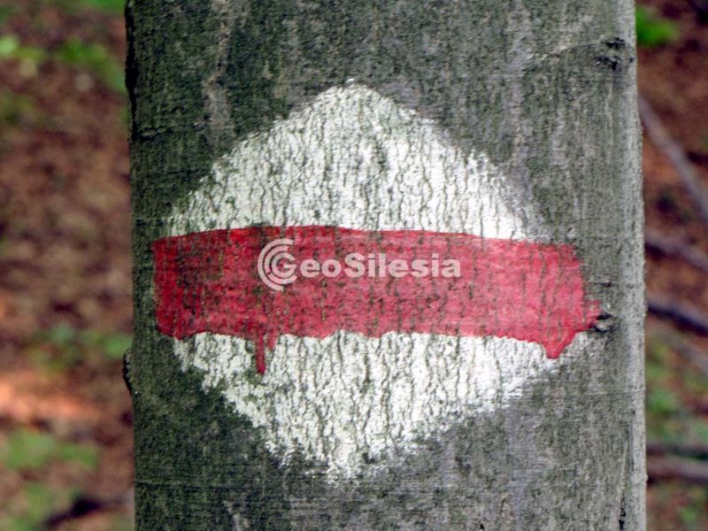 Rezerwat Góra Chełm