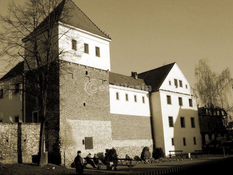 Zamek Piastowski