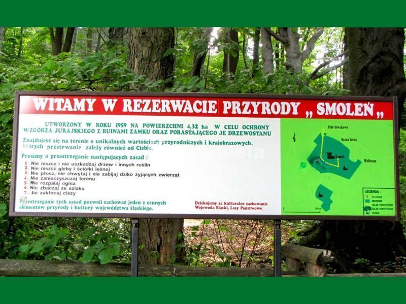 Wzgórze zamkowe