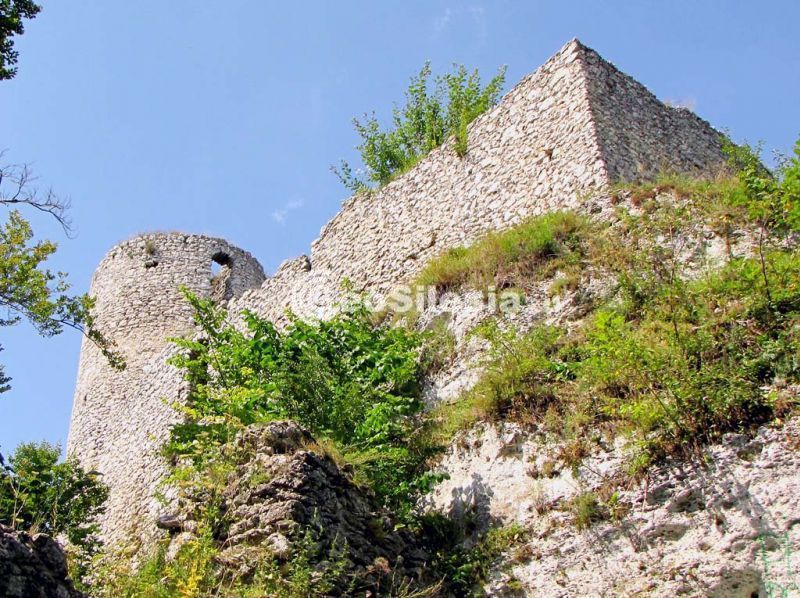 Wzgórze zamkowe
