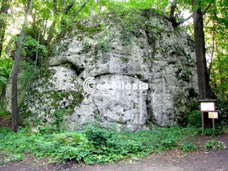 Przystanek 1