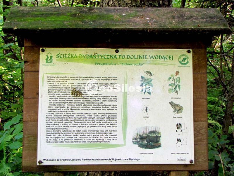 Przystanek 4