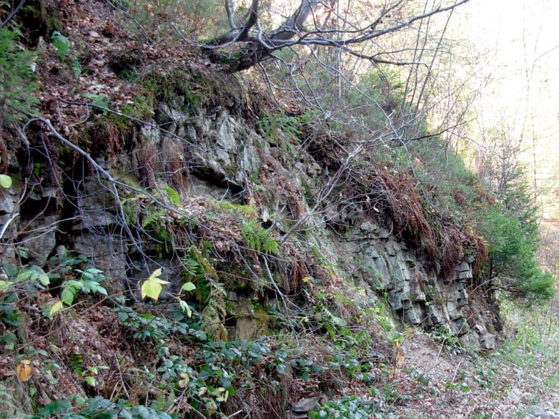 Piaskowce pasierbieckie