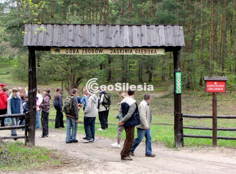 Rezerwat przyrody Góra Zborów