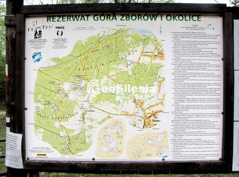 Rezerwat przyrody Góra Zborów