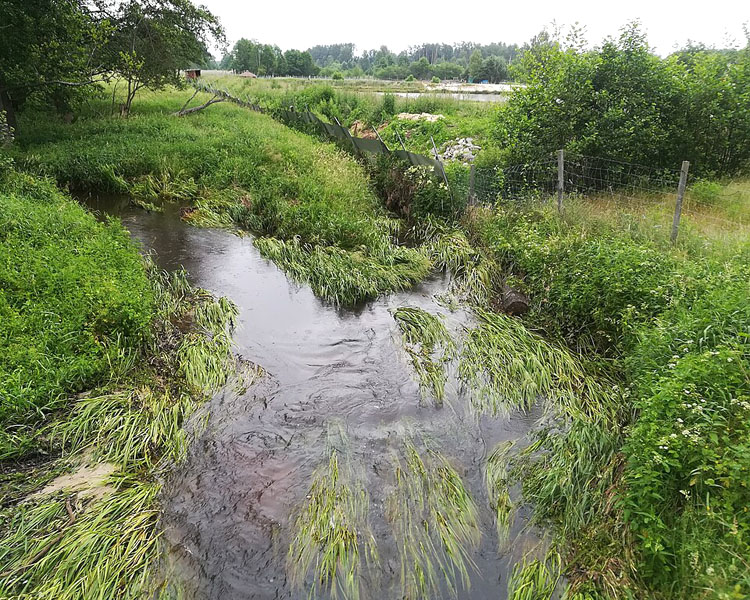 Leśnica