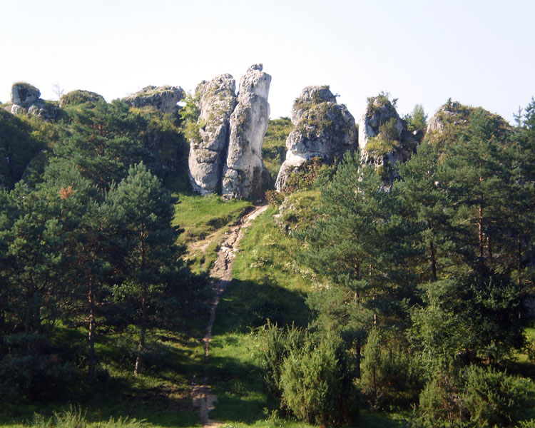 Góry Towarne w Kusiętach