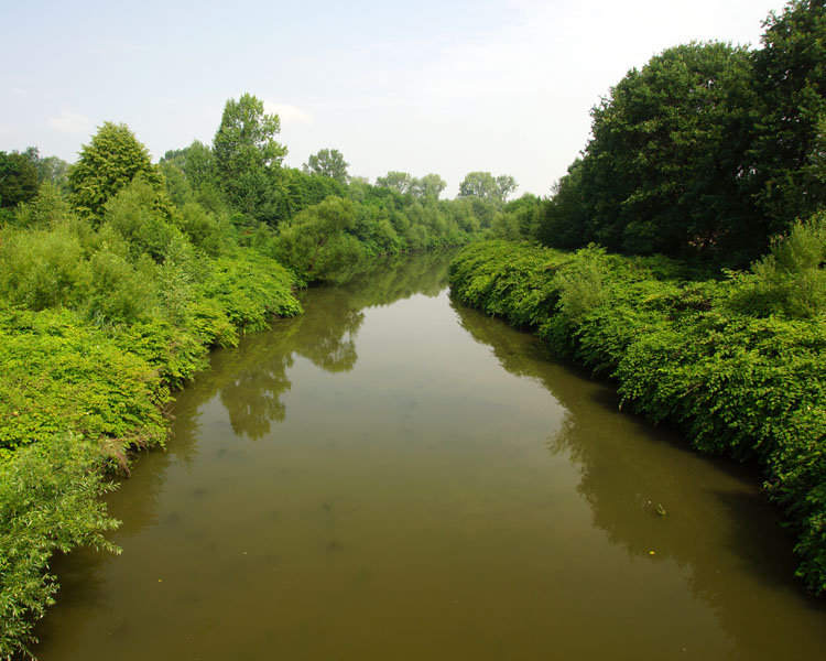 Biała