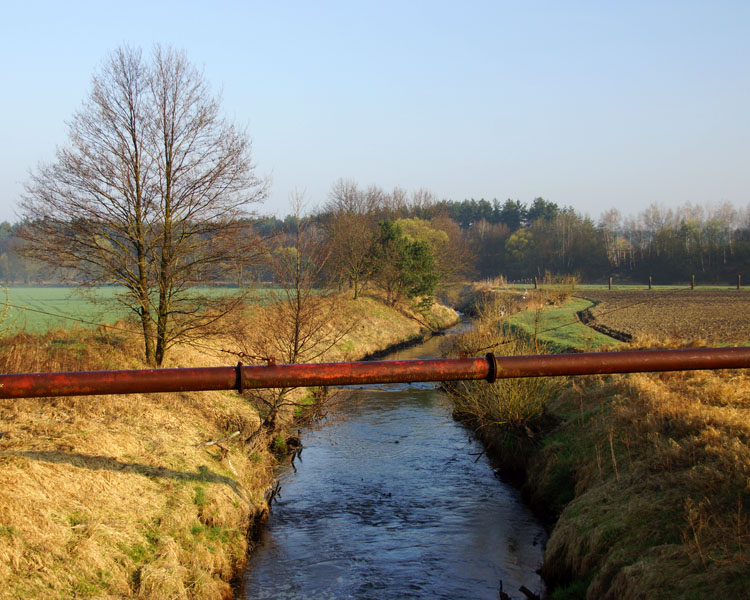 Bierawka