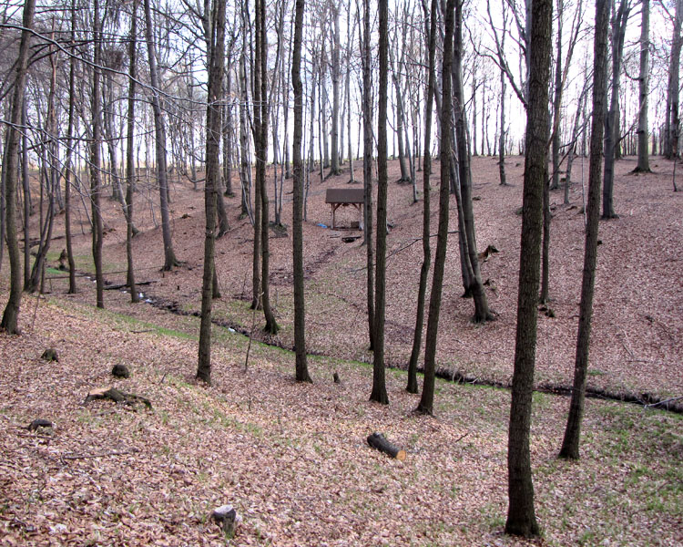 Piotrówka