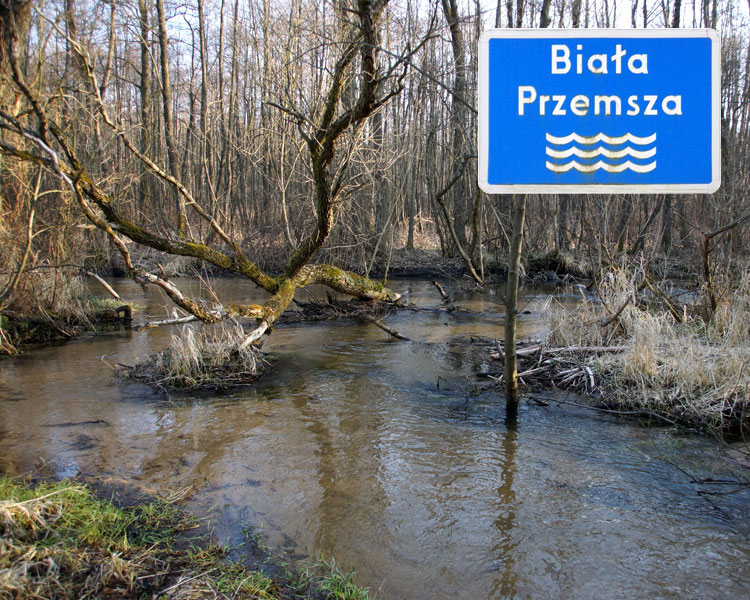 Biała Przemsza