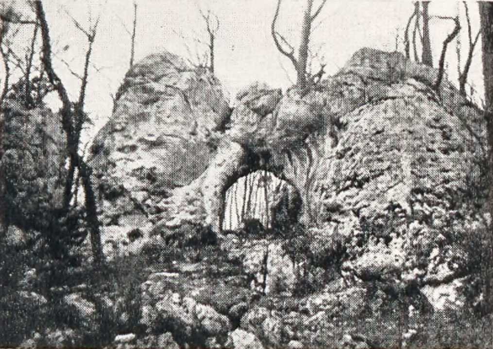 Rezerwat Parkowe