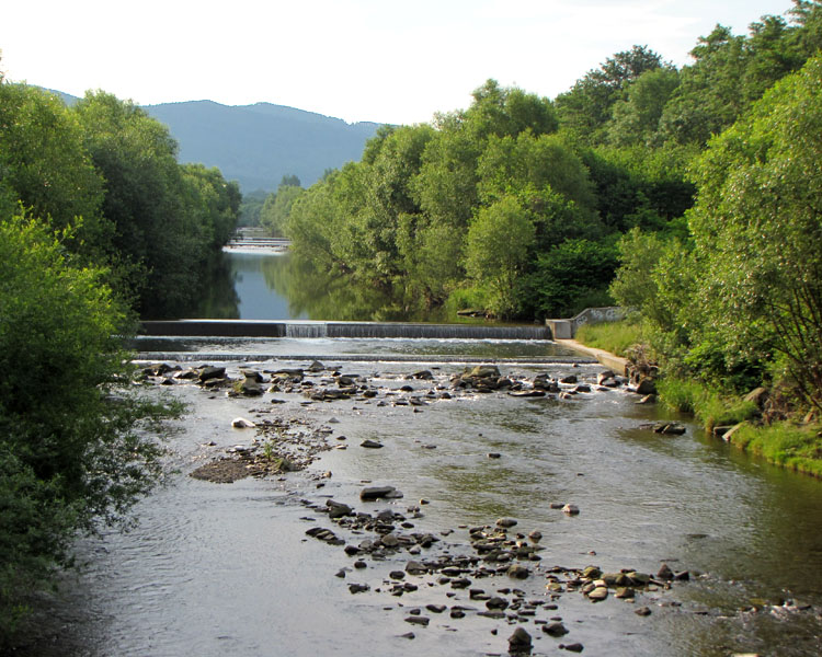 Brennica