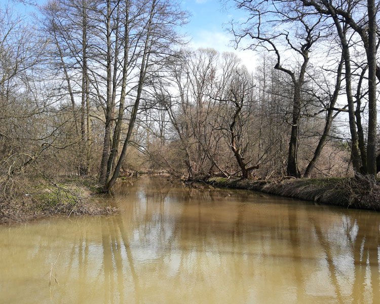 Czarna Przemsza
