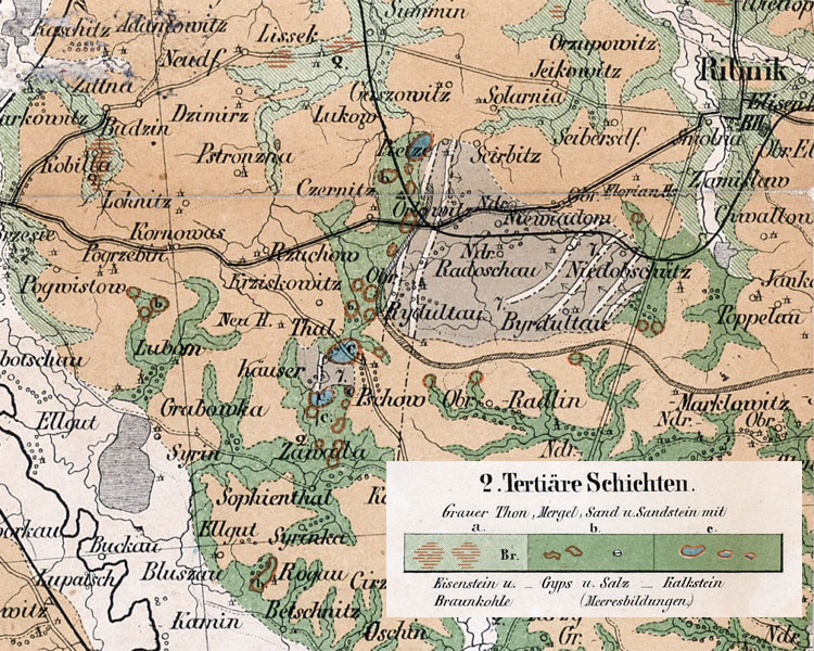 Rybnik