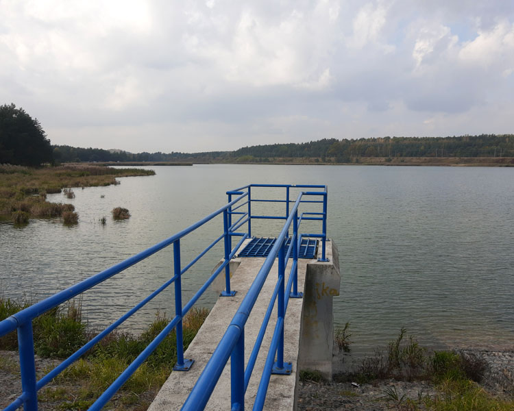 Białka