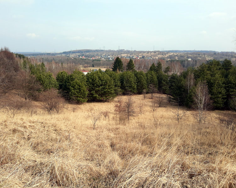 Dolina Przemszy