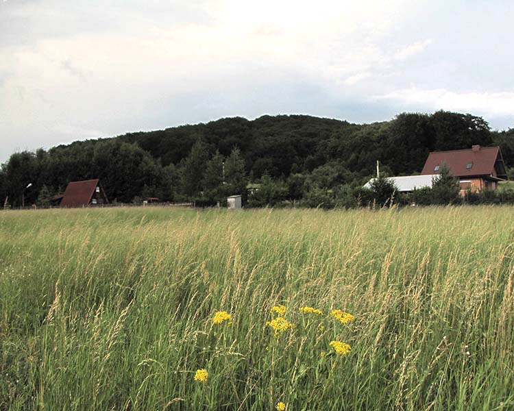Rezerwat Góra Chełm
