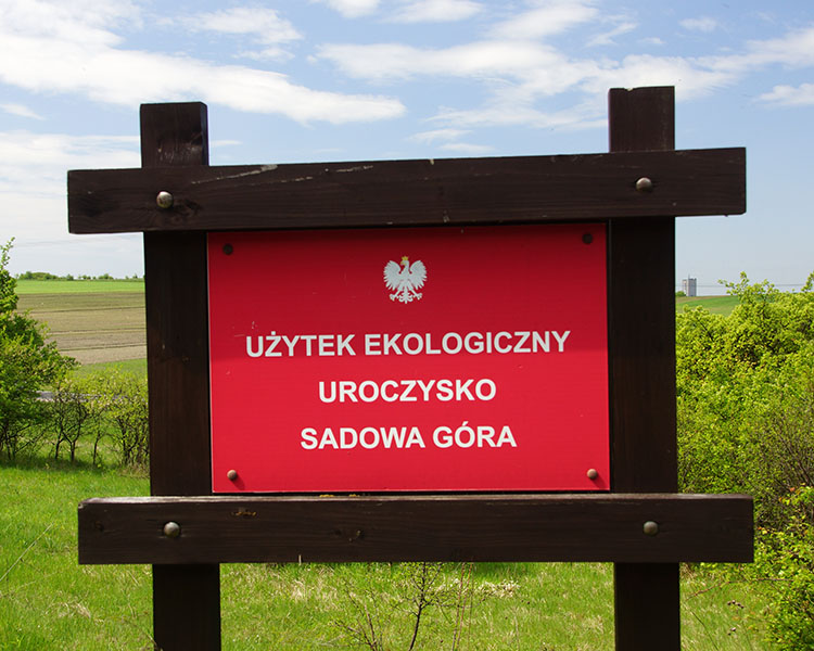 GEOsfera Jaworzno
