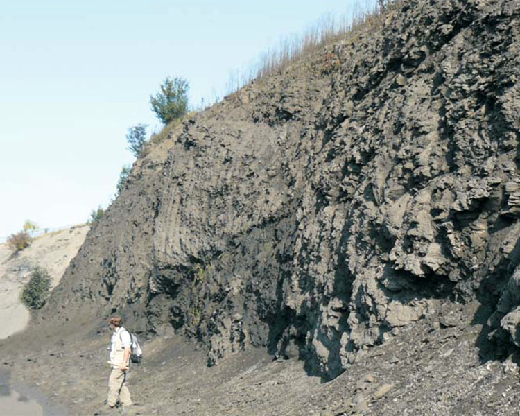 Cementownia Goleszów
