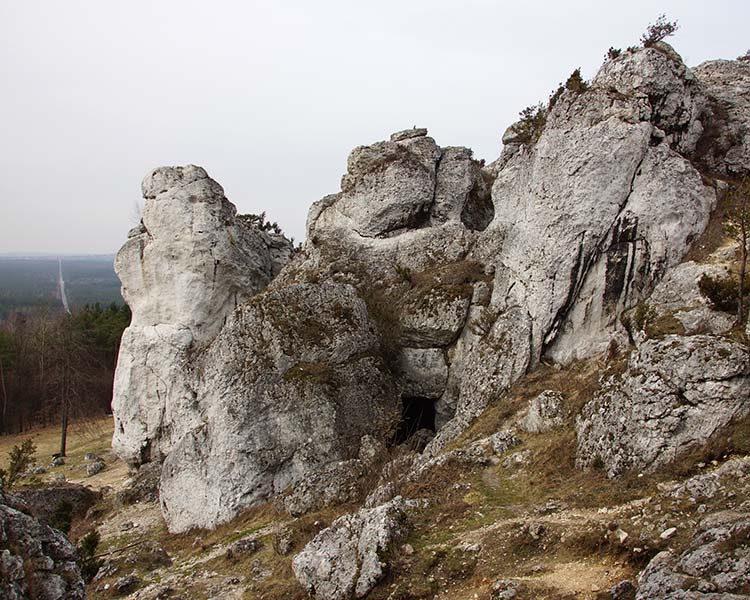 Rezerwat Góra Zborów