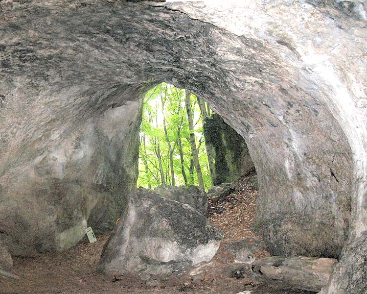 Rezerwat Parkowe
