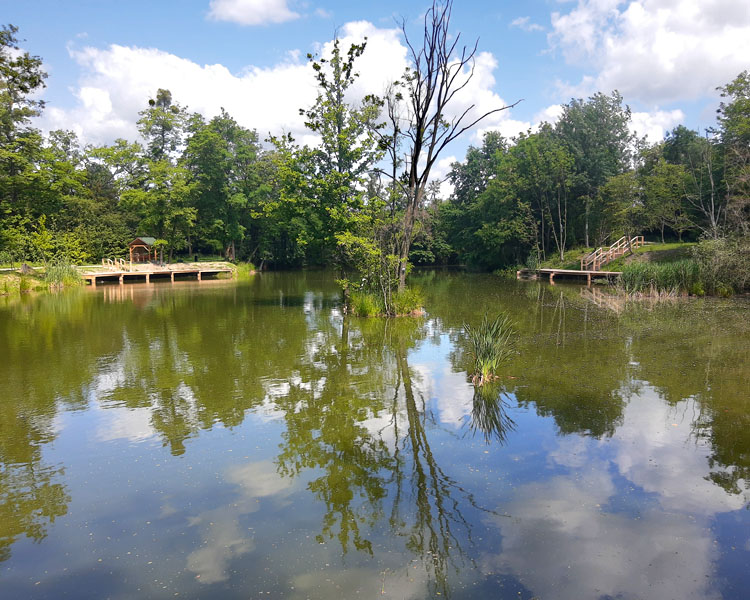 Geopoark Zabrze