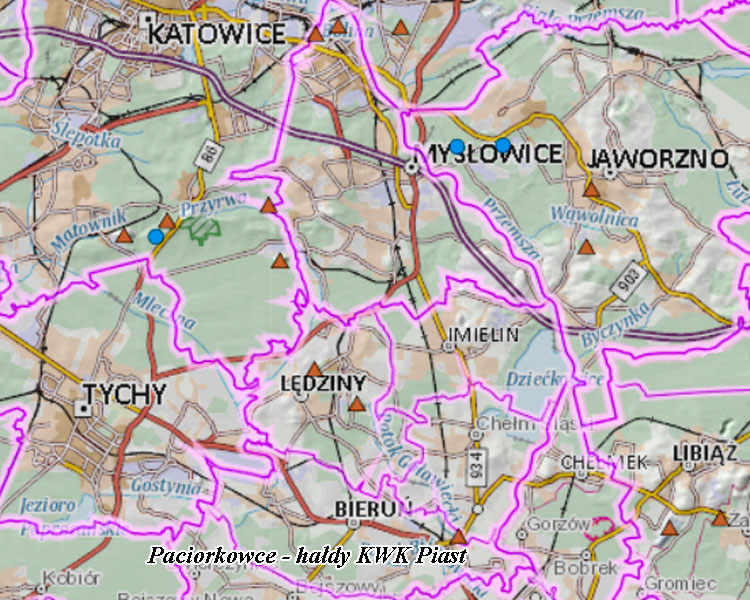 Hałdy