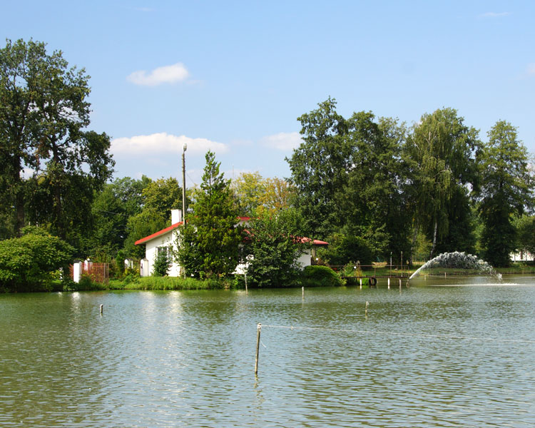 Iłownica
