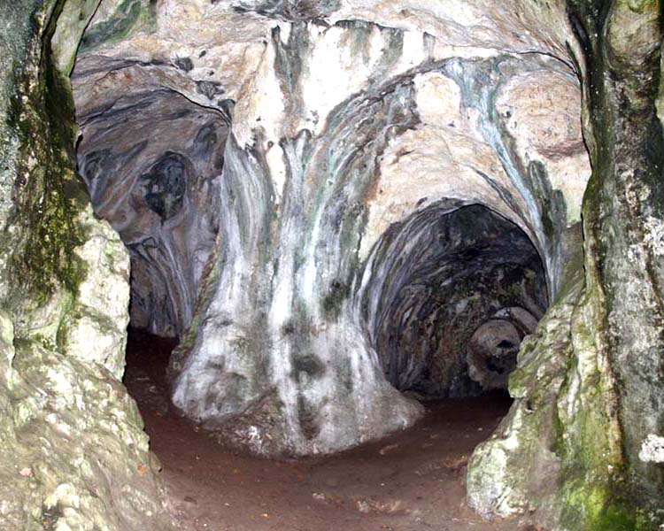 Rezerwat Ostrężnik