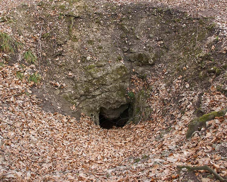 Jaskinia Wiercica w Ostrężniku