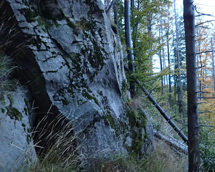 Rezerwat Kuźnie
