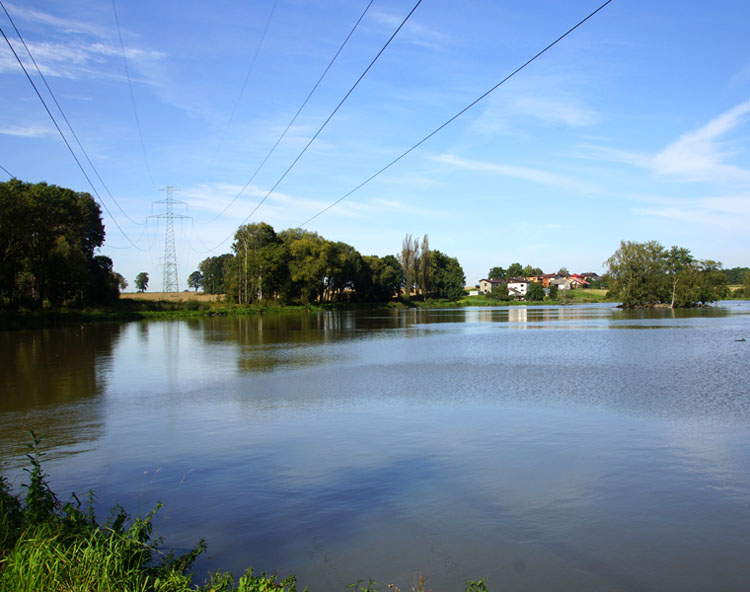 Knajka
