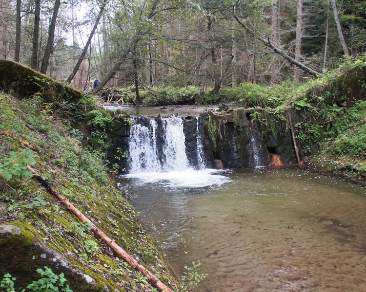 Kocierzanka