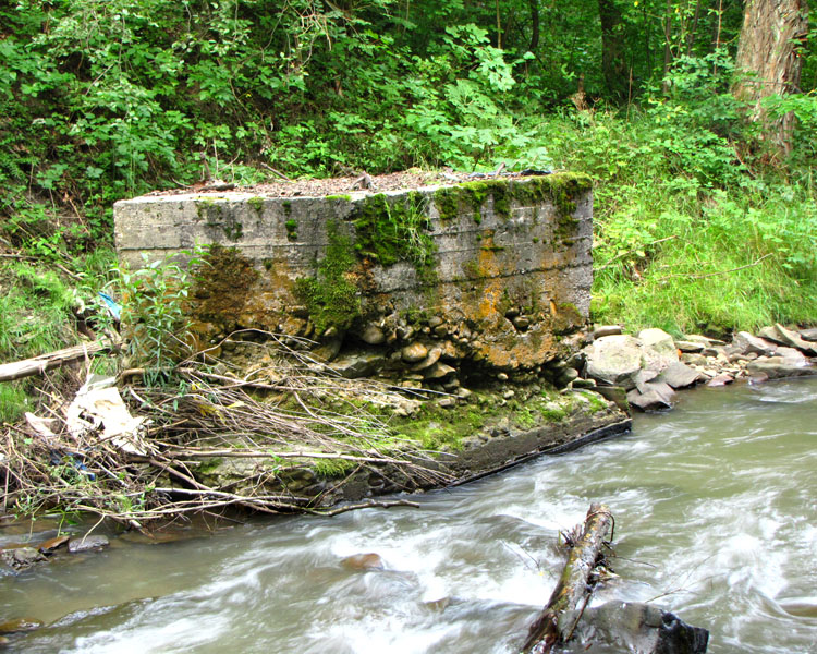 Kameszniczanka