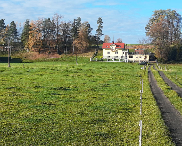 Dolina Wisły