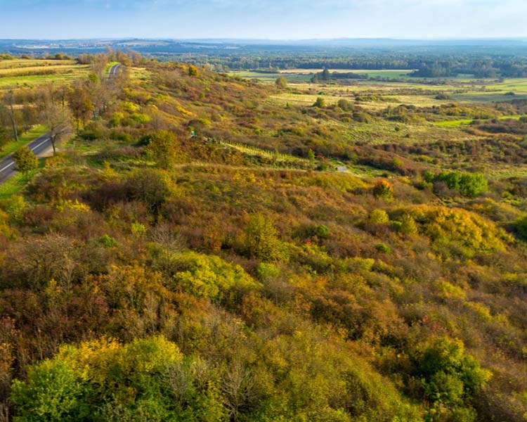 Kuesta w Żarkach
