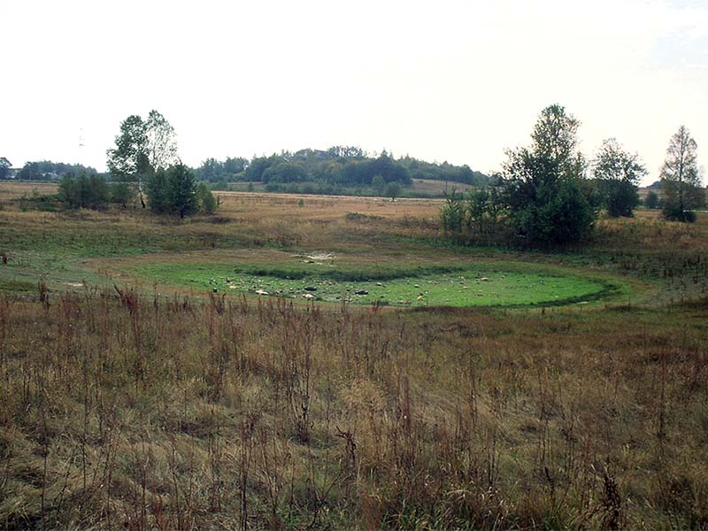 Jezioro krasowe w Kusiętach