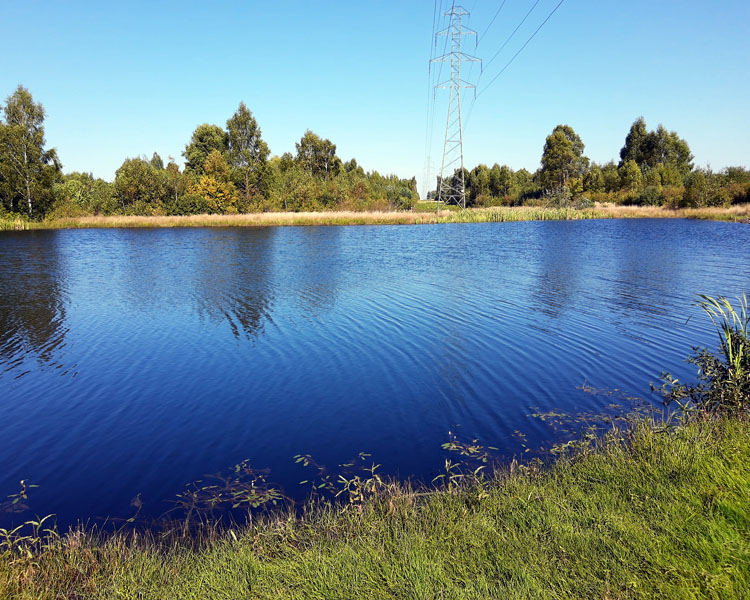 Jezioro krasowe w Kusiętach