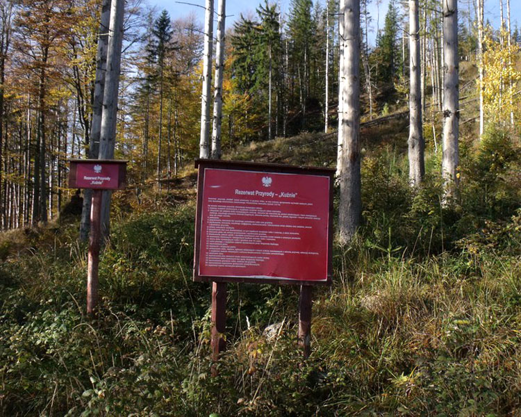 Rezerwat Kuźnie