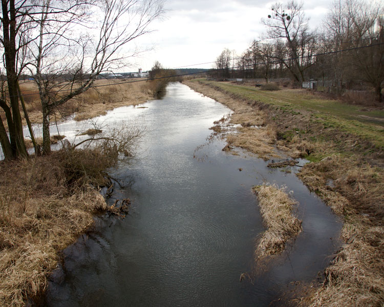 Liswarta