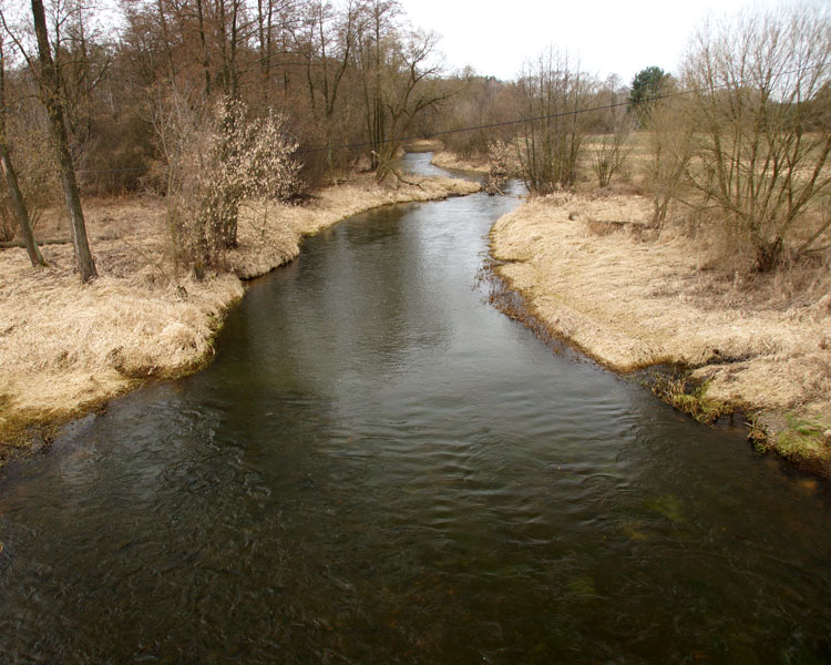 Liswarta