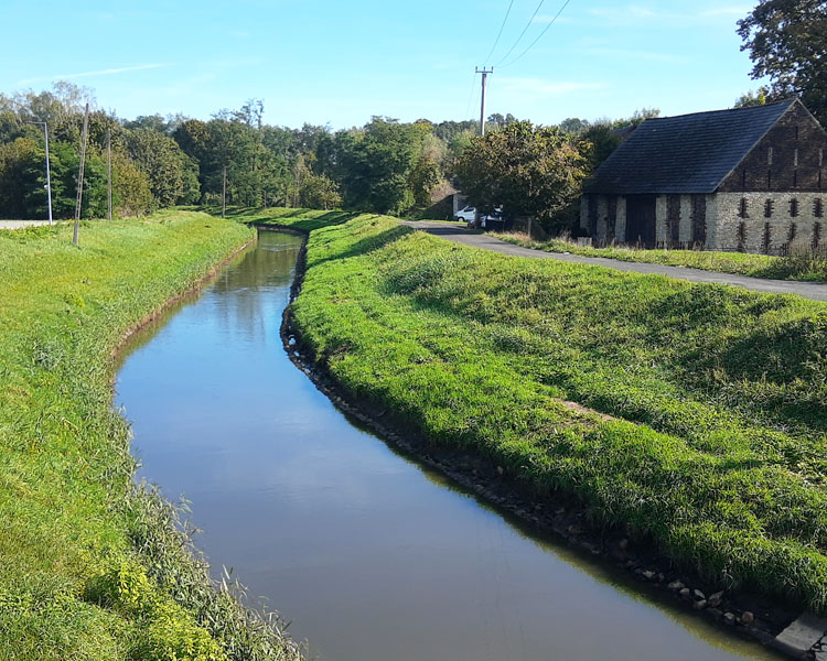 Mleczna